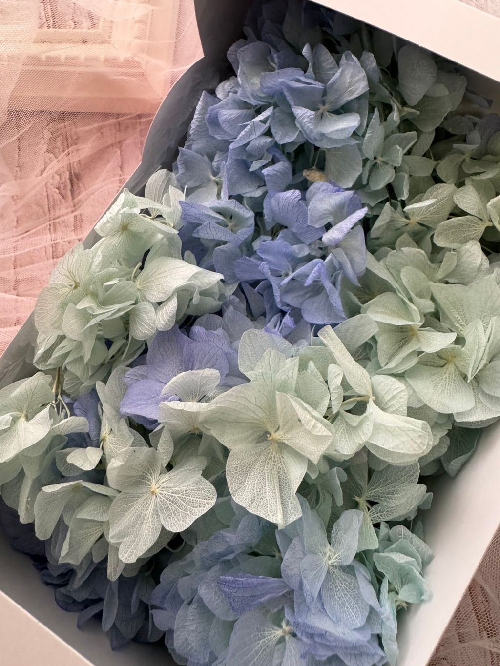 image_D104FF46-842A-455C-9D75-CF2700A29854_1775616064