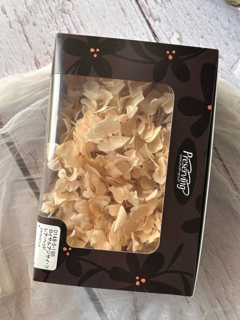 image_E877DD8D-A84E-435D-B55D-52C7EFD64EE4_1775786309