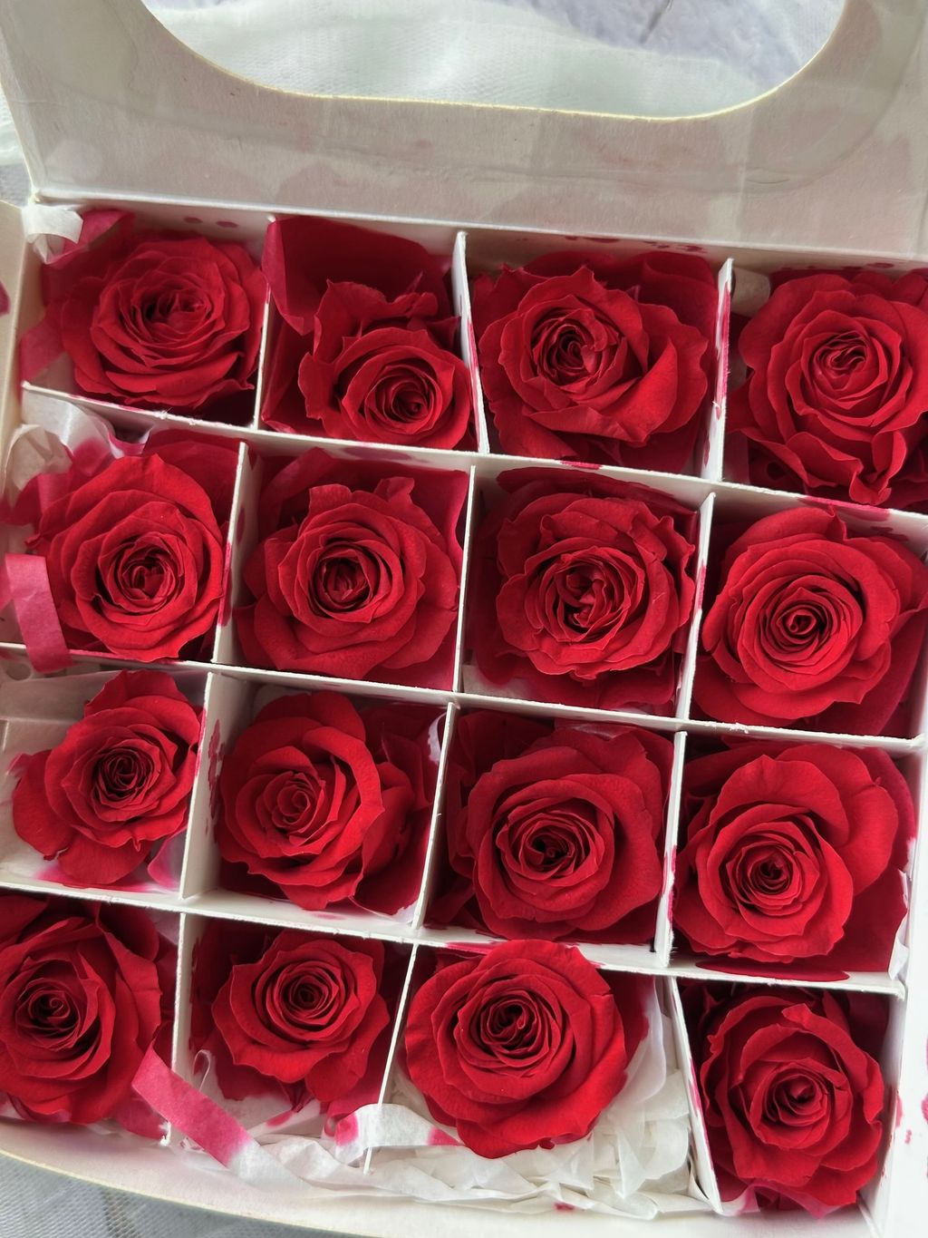 image_783A53A8-0C96-465B-B523-801478B6F0C2_1776653963