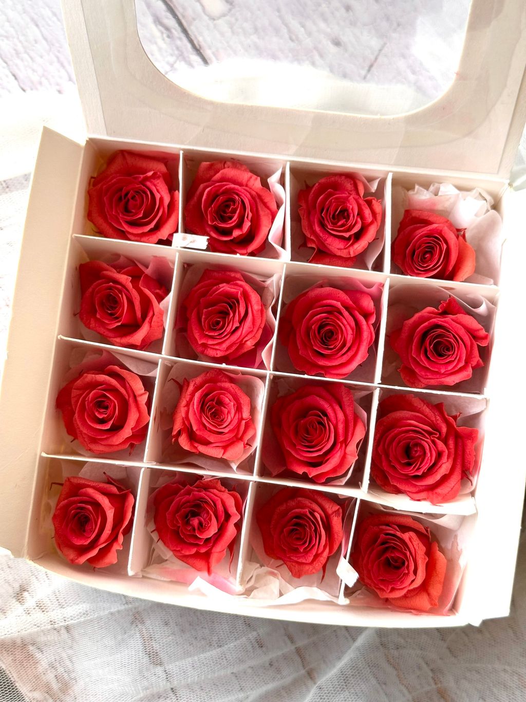 image_0D227004-D3B3-4474-8BEF-BCCBD48A13DD_1776654743