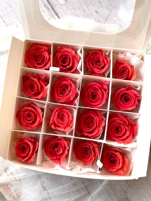 image_0D227004-D3B3-4474-8BEF-BCCBD48A13DD_1776654743