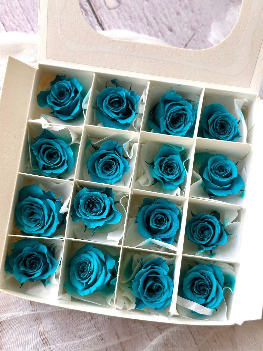 image_E865E0DF-8E33-46FA-8BF1-0D84B6E37D3D_1776654959