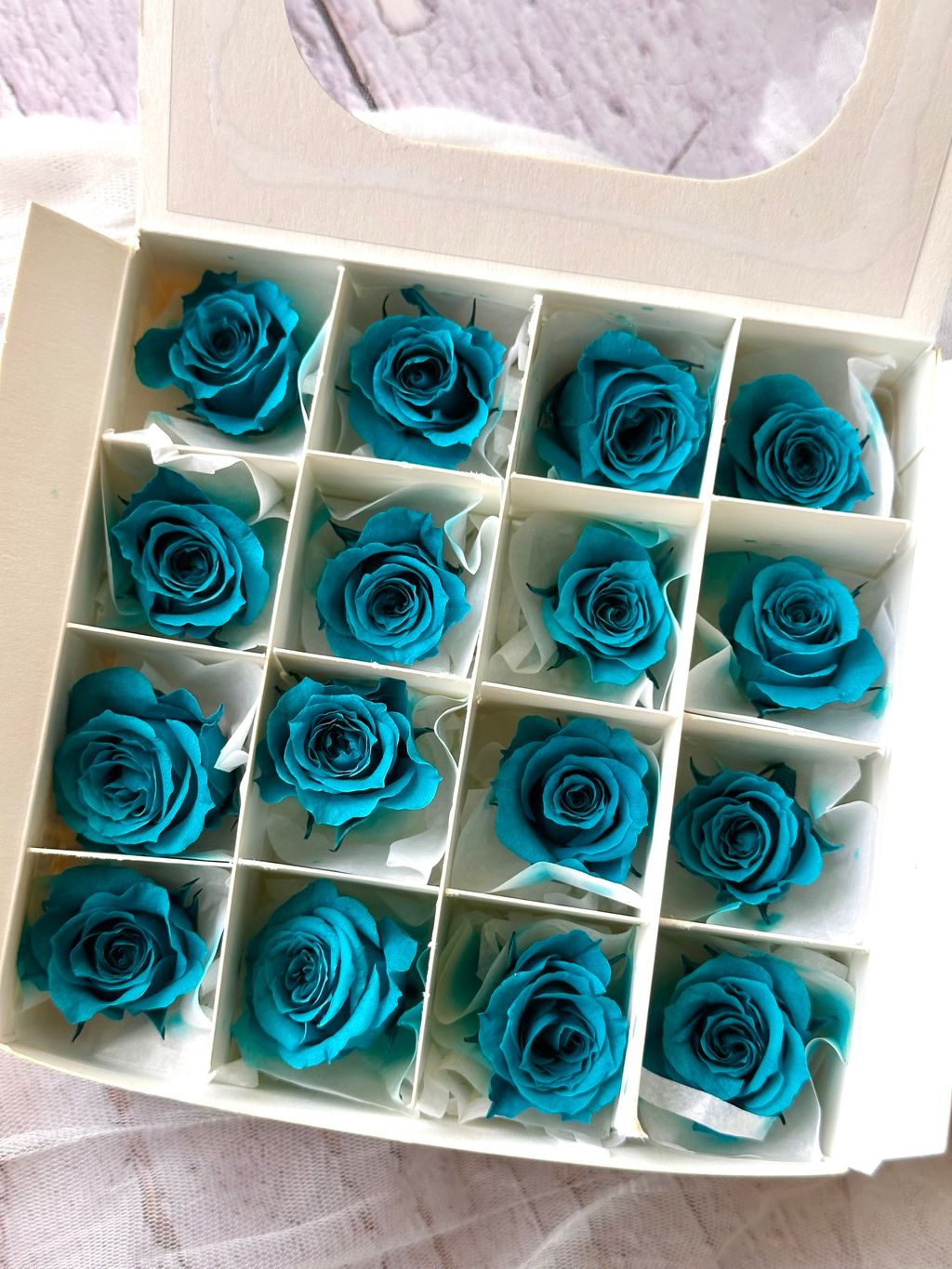 image_E865E0DF-8E33-46FA-8BF1-0D84B6E37D3D_1776654959