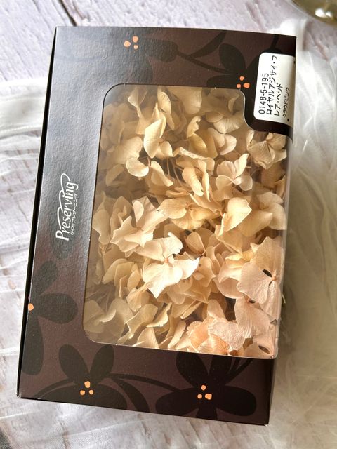 image_C6419FA2-73CB-4A9C-9F10-F4CFF374055E_1776660197