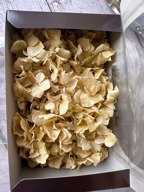 image_ADC154DE-8600-4858-94A9-E0038E521A47_1776660468