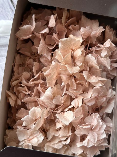 image_E7C1EE5B-71DA-4217-A7E0-1A45B40F8119_1776660774