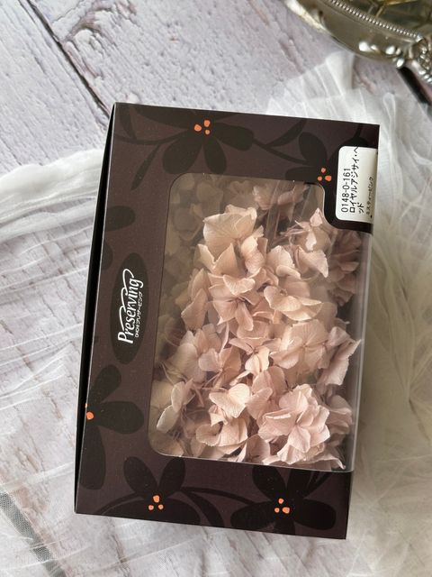 image_6C222EDC-55F2-4CDB-B4FA-8BDC9A50F7AF_1776660774