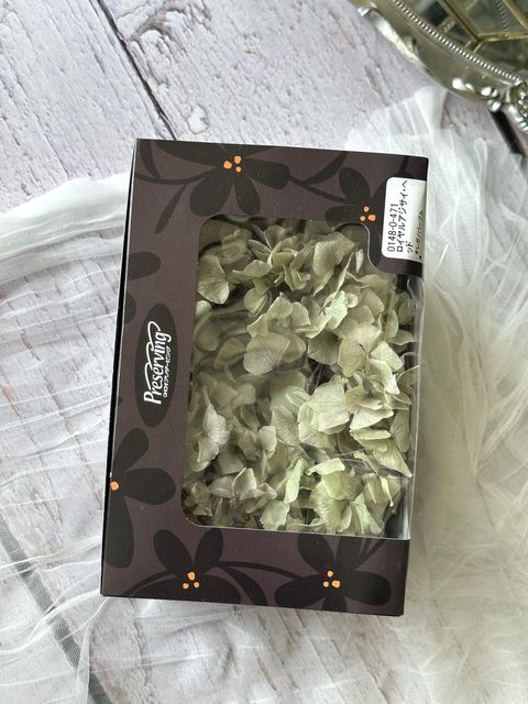 image_53D483A4-59ED-4726-8EA7-8872F4CD1B98_1776660992