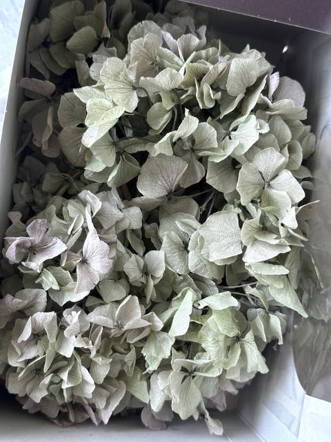 image_AB6D8285-6573-46B9-AE3E-5955DF38179A_1776660992