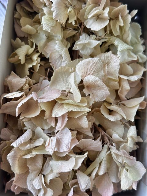 image_602A2EBD-A2D6-4F5D-9E5C-54AB3B51E5DB_1776661191