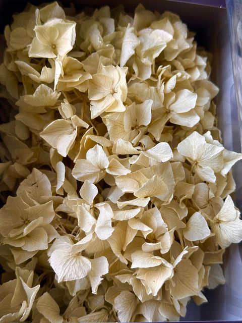 image_41D5C05F-6DB7-44F8-8C15-6C0968A2B24D_1776661468