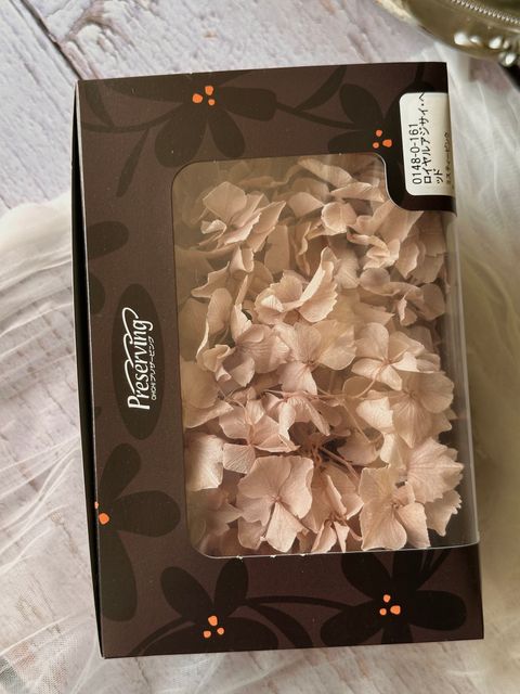 image_FEB02BDB-8DF4-46F4-B5D7-AB67A10A80E7_1776661710