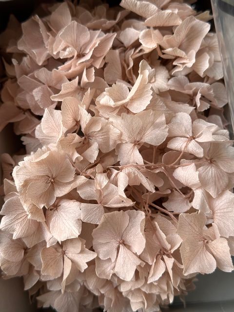 image_4761F1A2-0B47-47E1-B358-DA27873299A0_1776661710