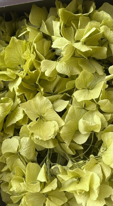 image_DC625A14-0253-4B95-BC4B-63B819BC3B8F_1776662025