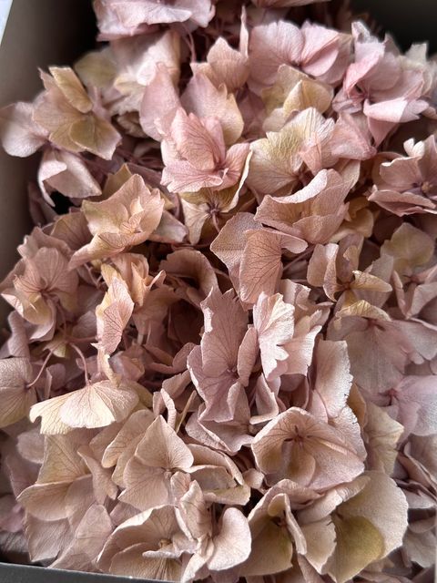 image_9725F546-C184-42B6-B356-F920528AD3CD_1776662542