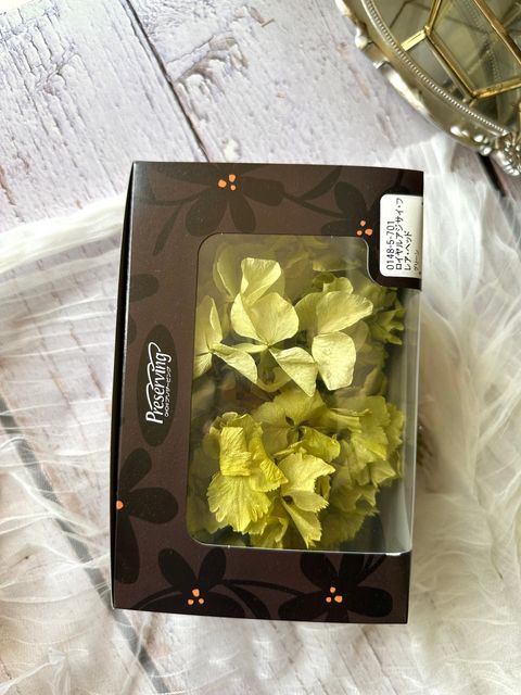 image_ADE8A66E-E707-4DC1-8C75-B5324D4F19B4_1776662874