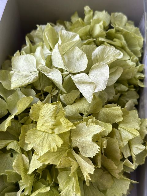 image_45DEEF4E-A5BA-44DB-B943-9C1DA281B693_1776662874