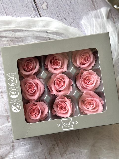 image_FD02840E-0911-44D7-BA8D-2CDE28AAFF0F_1776663412