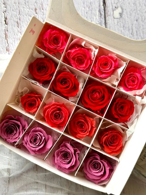 image_453A2802-C951-4AED-ADD9-43497907691C_1776666738