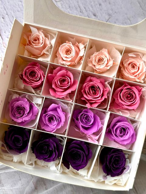 image_AB312ABC-0DD0-4872-ABE0-69F08EC1CDE6_1776666924