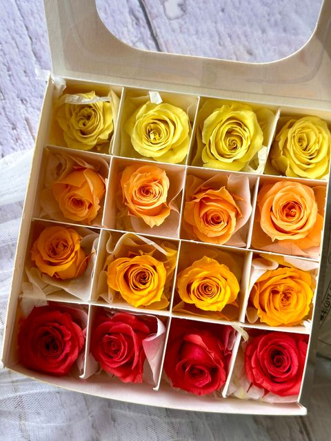 image_195396EF-2A8B-4463-AF10-C43D804FB8CE_1776667102