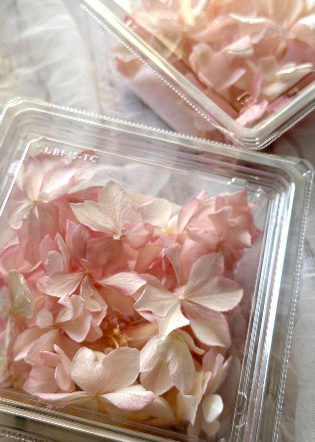 image_0364090A-5E96-4DCE-9A7E-7B53220654F1_1776910261