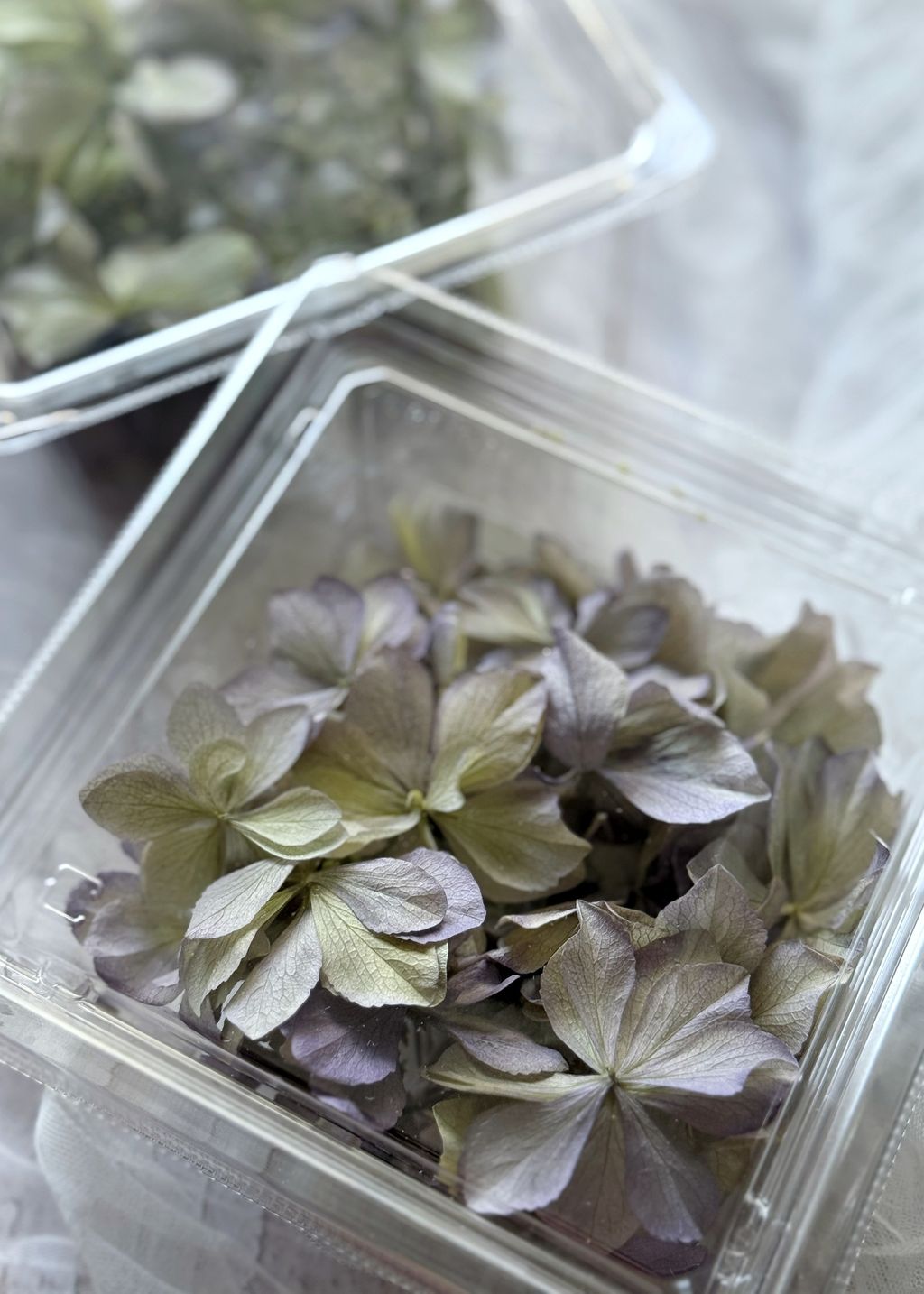 image_39891A6C-977C-4EFA-A52F-B078AF120C0B_1776910540