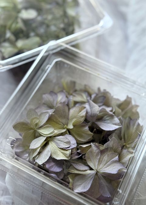 image_39891A6C-977C-4EFA-A52F-B078AF120C0B_1776910540