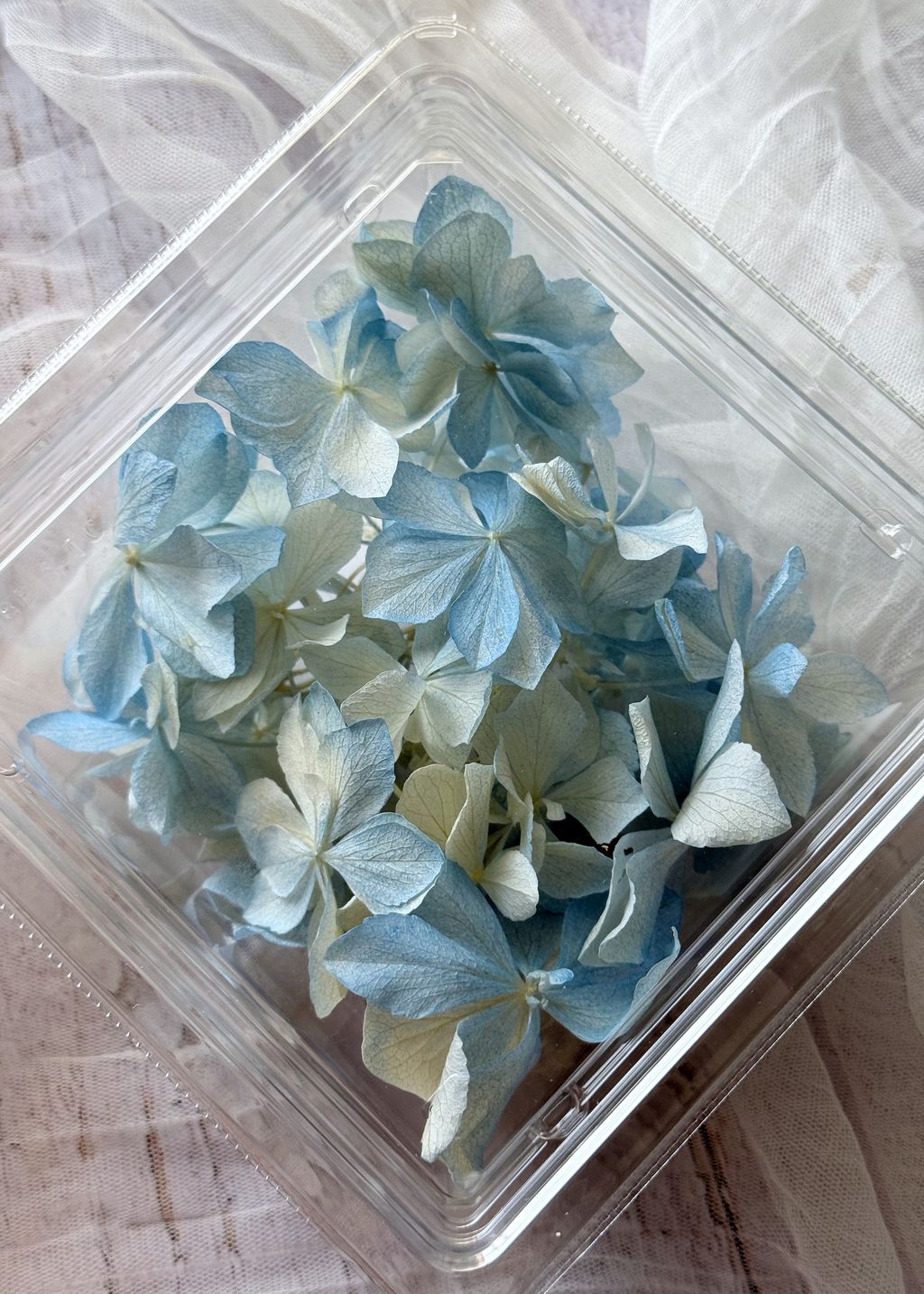 image_4F142A72-F03A-44FD-801B-65FEB967C934_1776910684