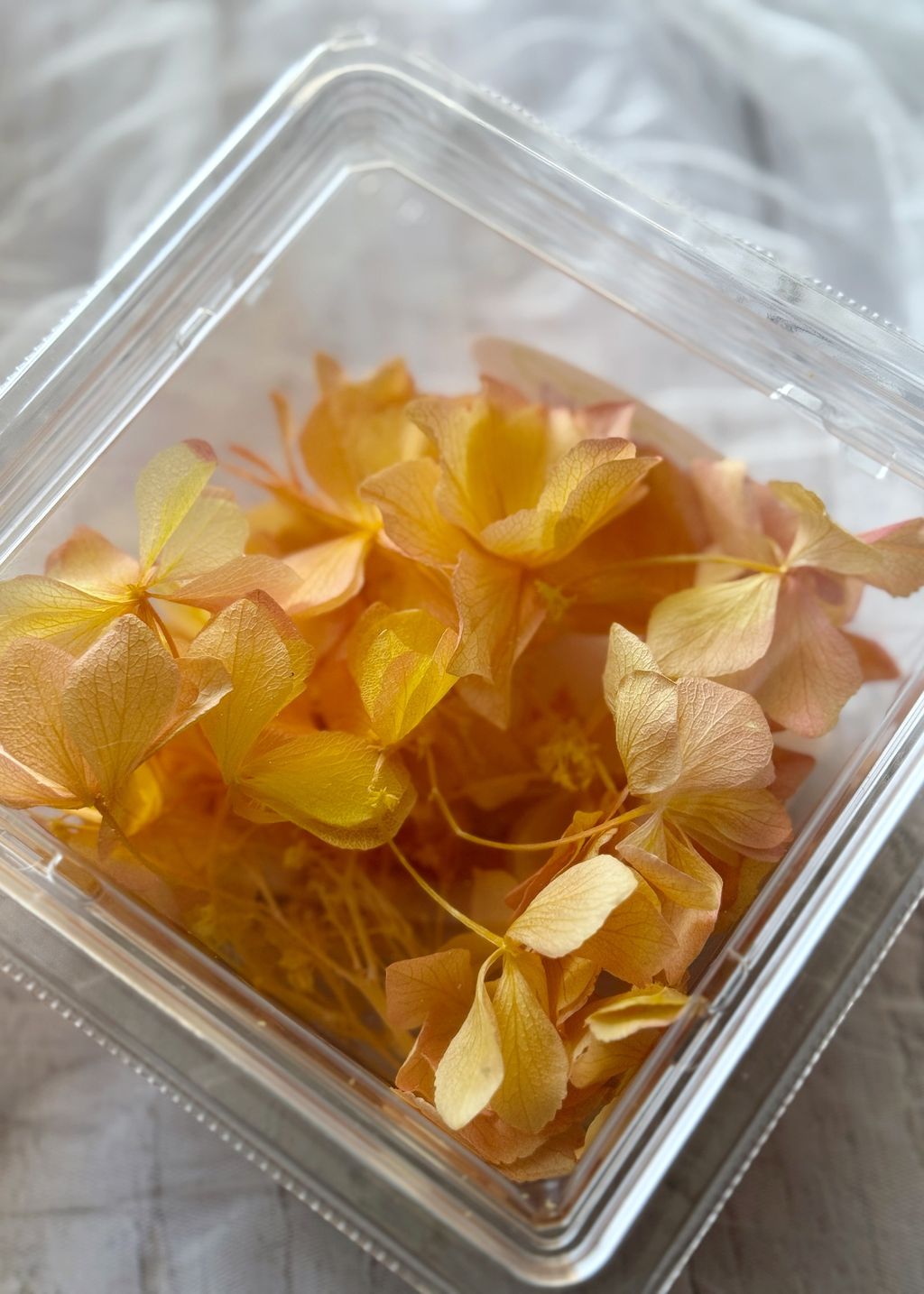 image_8339B9D2-DE3A-4FF5-ABF6-724FB3A8F85B_1776910785