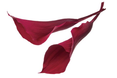 05502-480