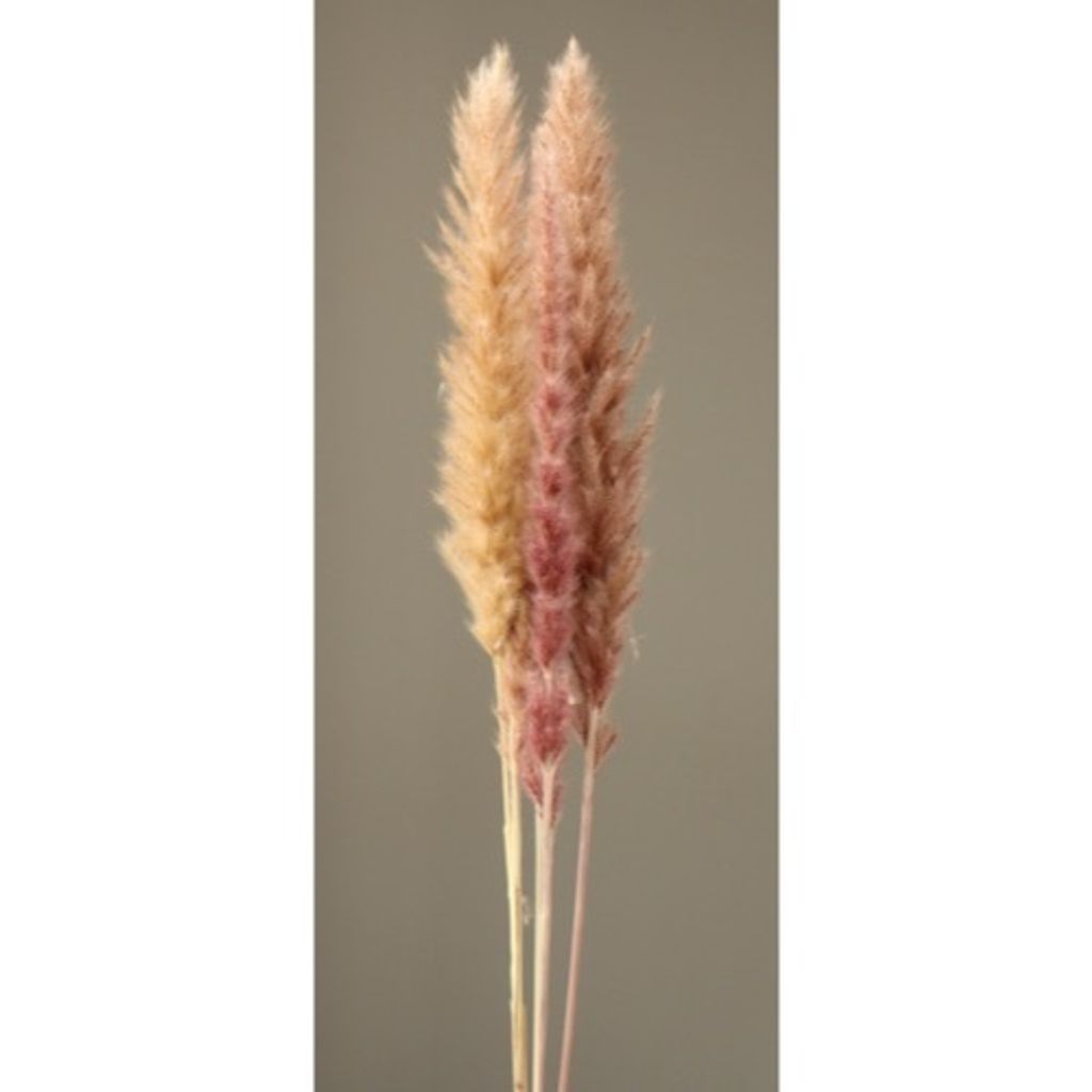 4988489299763_1
