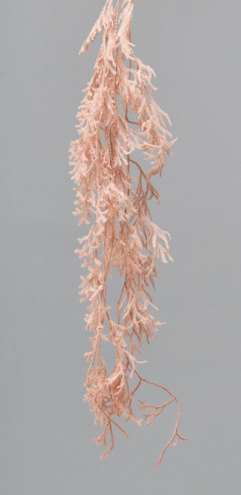 03810-081