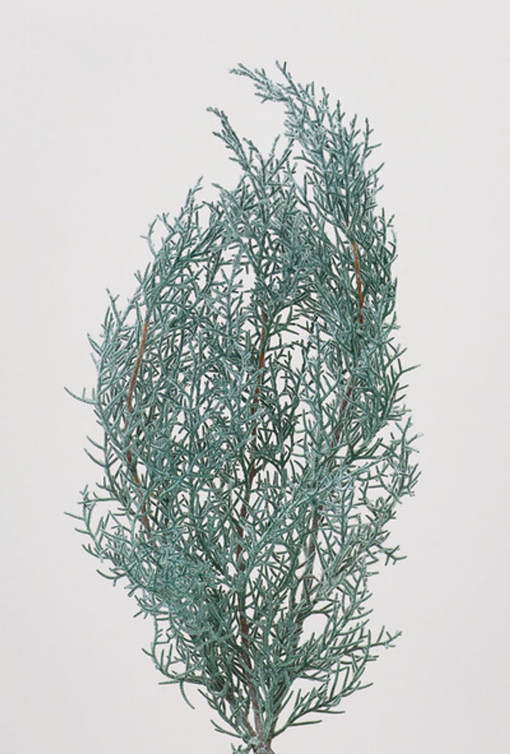 01260-706