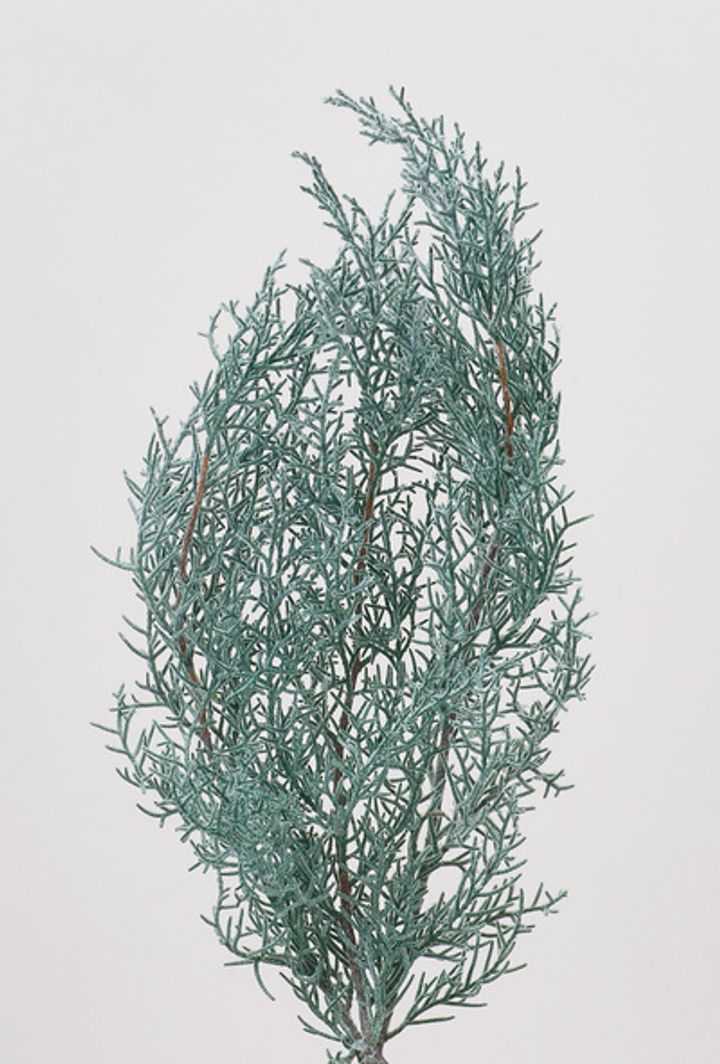 01260-706