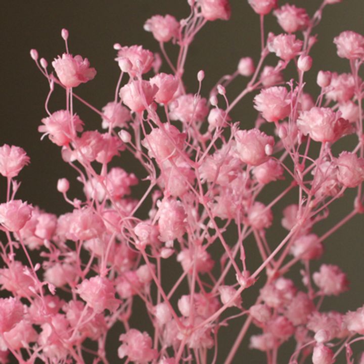 00042-122