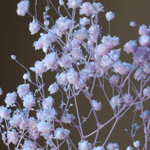 00042-642