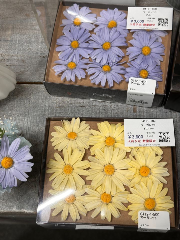 image_FF5DFF26-1821-43E1-9CDD-E3A3AE58EFA8_1783250495