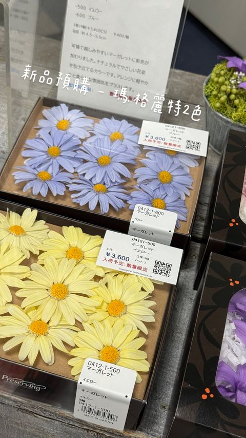 image_B236998E-92BD-4426-8662-22E6F9AE5DDC_1783250524