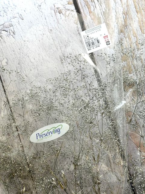 image_43509CA1-2247-46C2-8D95-807EADF1FACE_1791787212