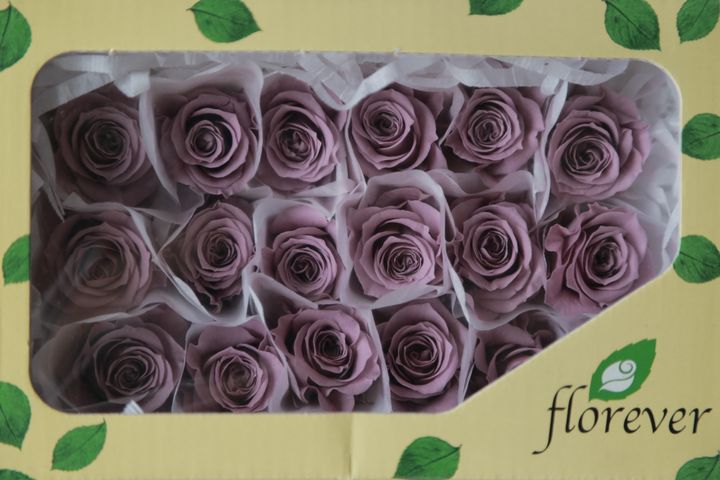 FL041-14 Lavender (9).JPG