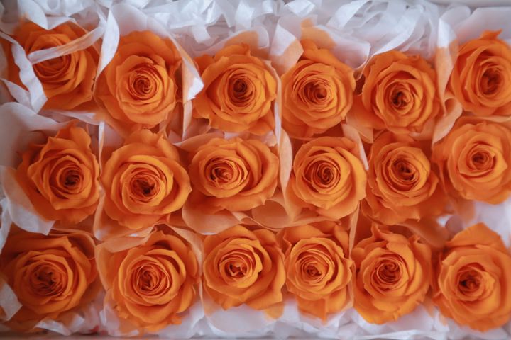 FL041-29 Tangerine Orange (9).JPG