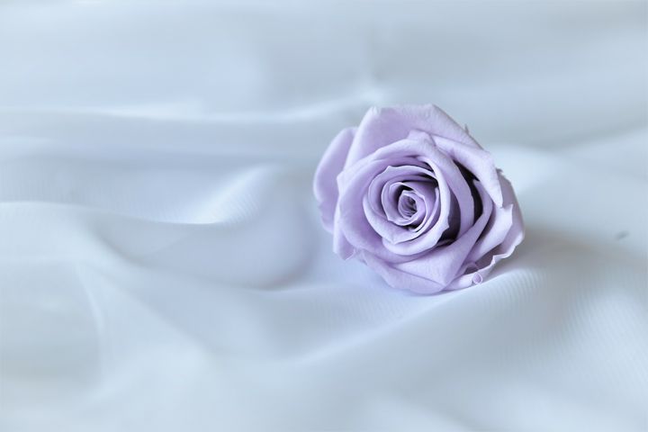 IMG_6588.JPG
