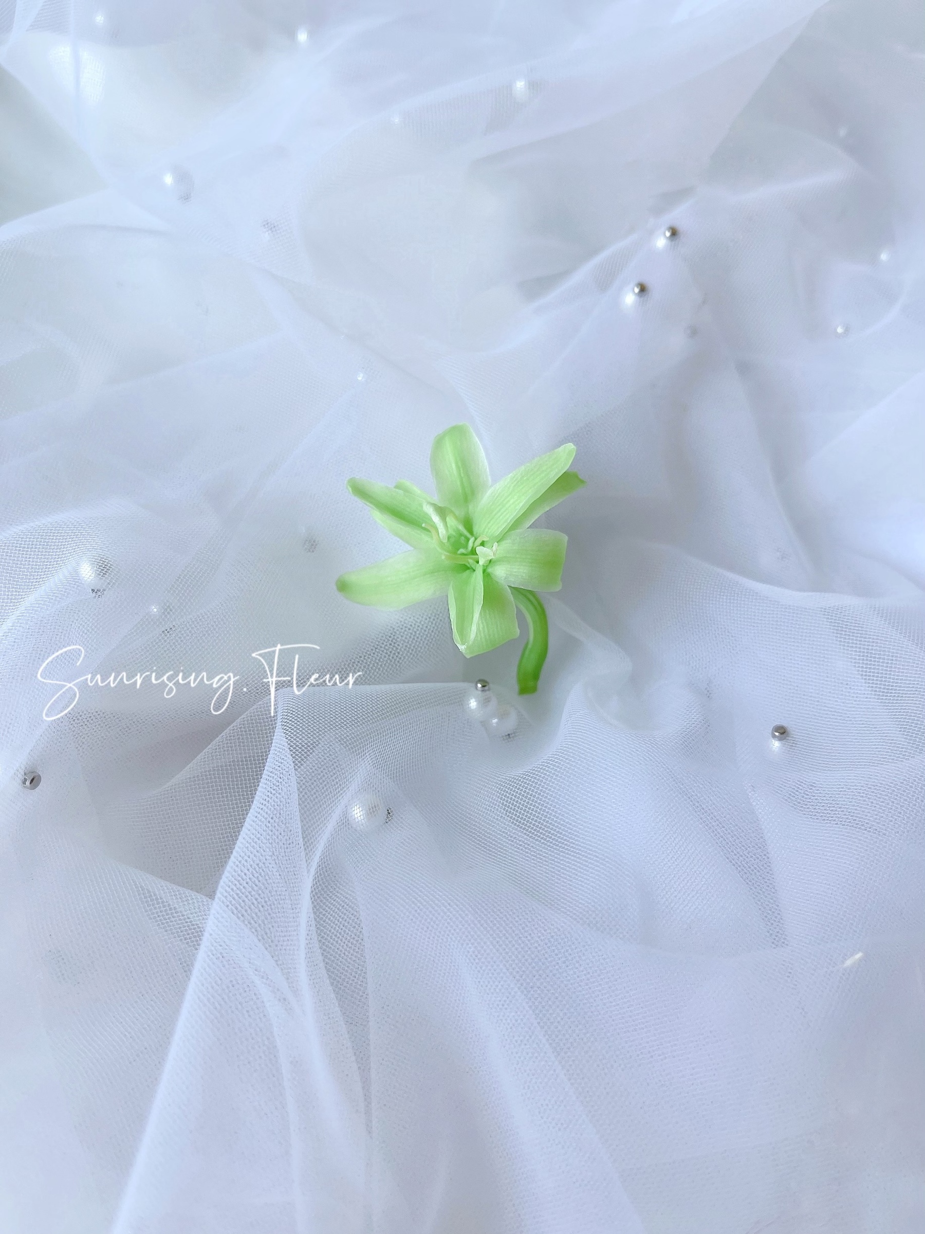 月下香tuberose Fl330 心語花意 日本florever 大地農園花材批發 永生花花材 乾燥花花材 不凋花批發 日本花藝教學認定校 Aube 海外認定校 月下香tuberose Fl330 心語花意 日本florever 大地農園花材批發 永生花花材 乾燥花花材 不凋花批發 日本花藝教學認定校 Aube 海外認定校