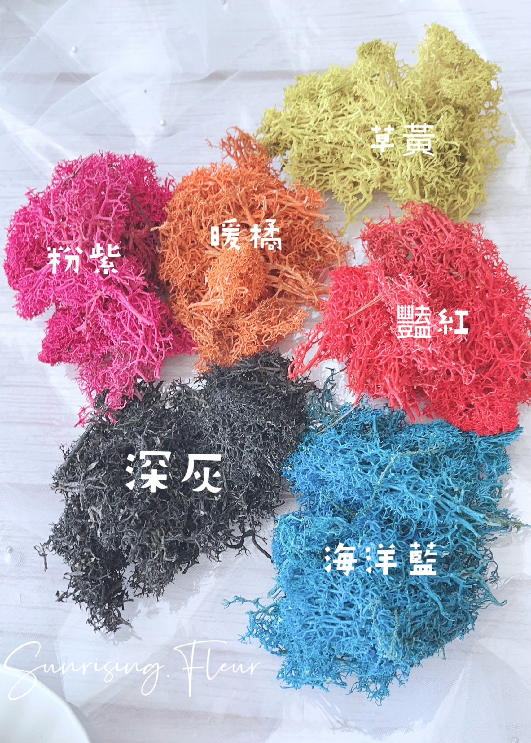 Fl0 0 馴鹿苔 北歐苔癬 Nordic Moss Black 經典黑50g 心語花意 日本florever 大地農園花材批發 永生花花材 乾燥花花材 不凋花批發 日本花藝教學認定校 Aube 海外認定校
