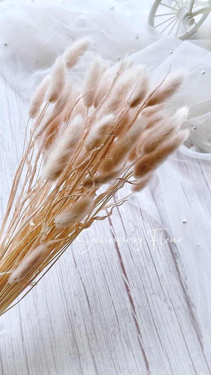35504787-B843-4BA9-B154-E7D5FEB34B64.jpeg