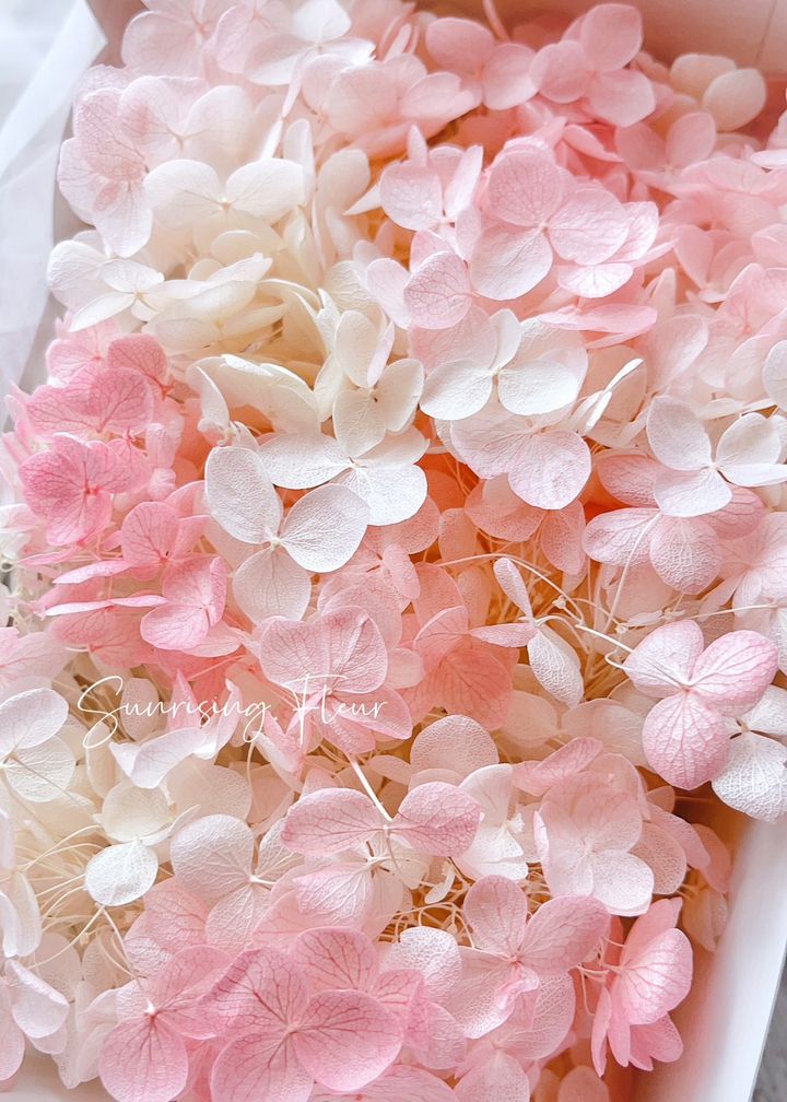 9F5D689B-1A3D-4ABD-89B6-B618B35A8137.jpeg