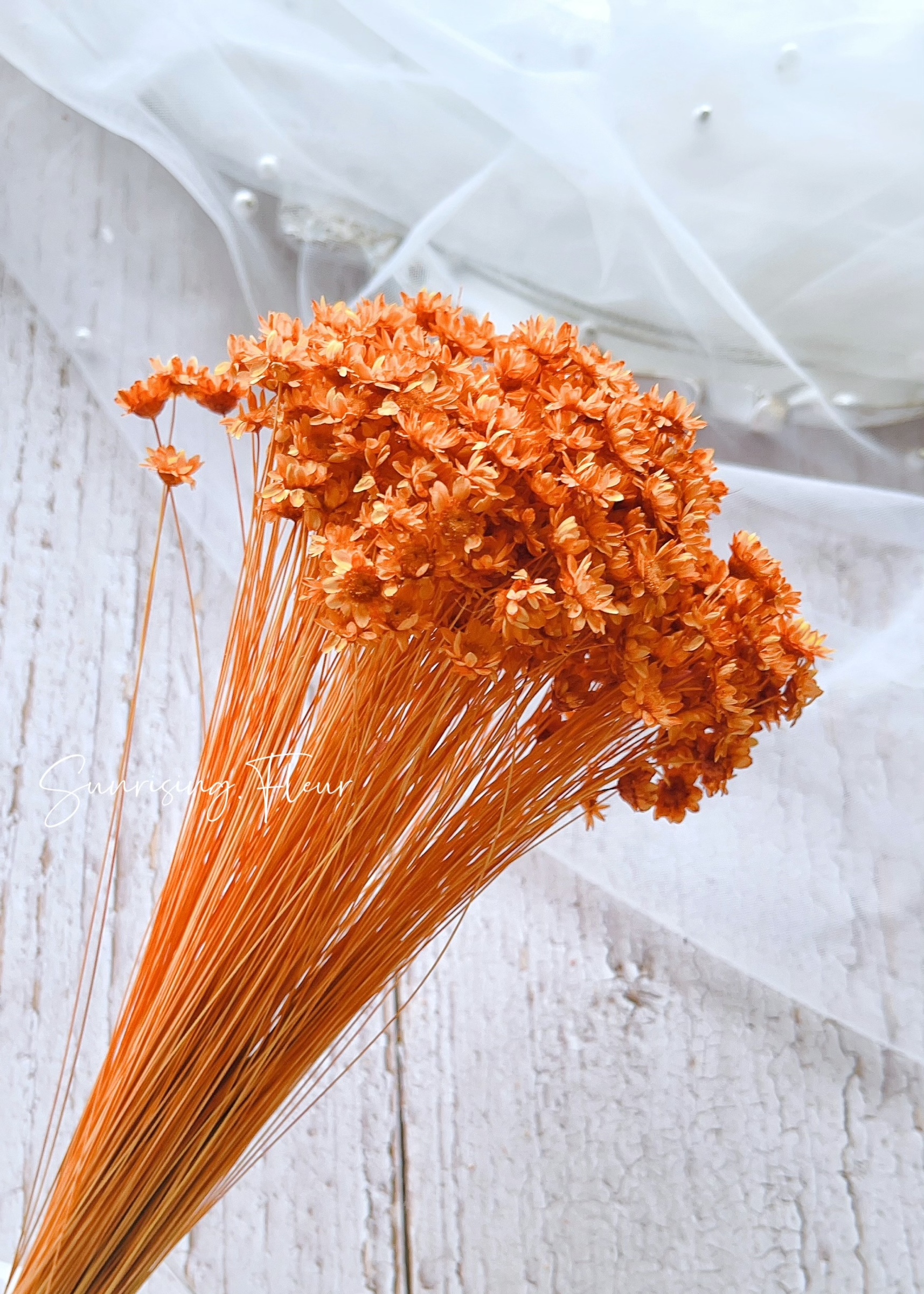 30191-351 小星花Star Flower Blossom- Orange 澄橘– 心語花意- 日本 30191-351 小星花Star Flower Blossom- Orange 澄橘– 心語花意- 日本