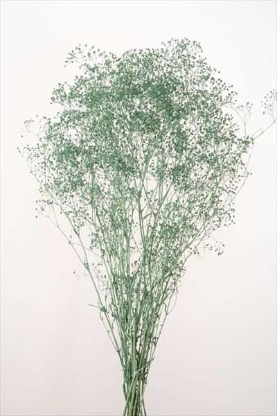 4988489292139_10-631.jpg