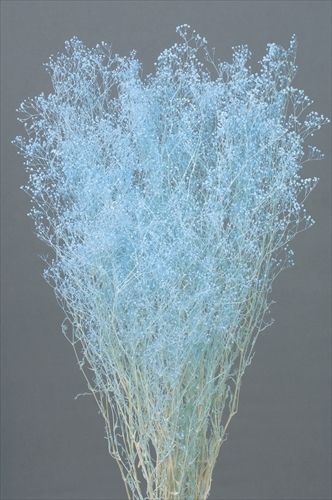 4988489002080_10-410.jpg